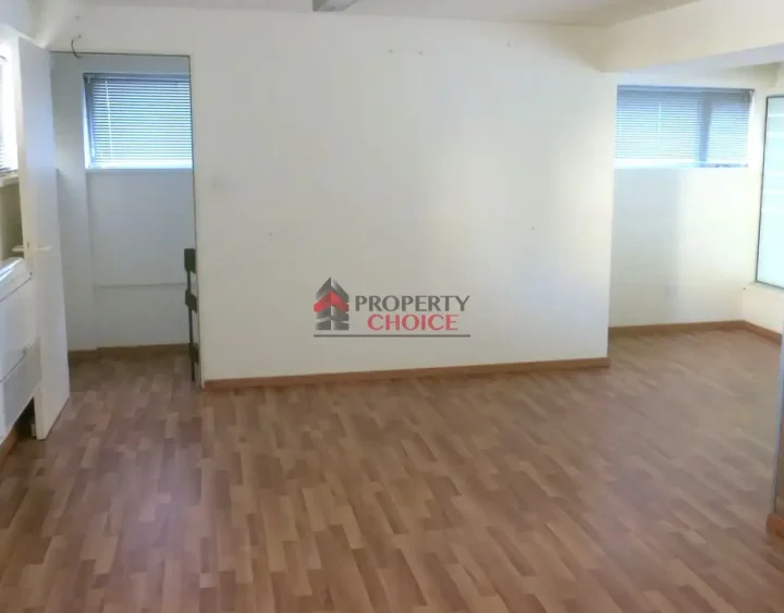Trading area 250 m² for rent in Nicosia, Agioi Omologites
