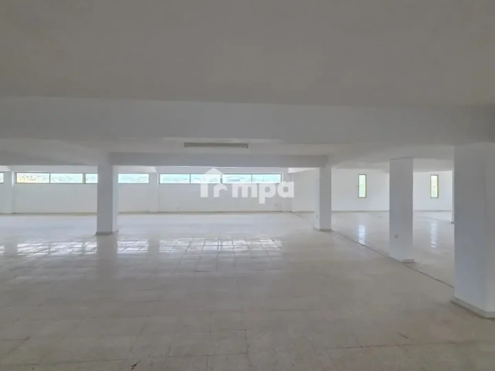 Офис 1000 м² в аренду в Nicosia, Latsia - Agios Eleftherios