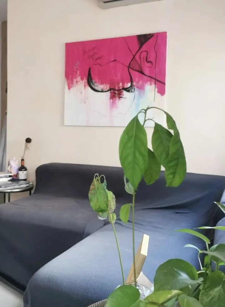 Apartments for rent 45 m² in Limassol, Agios Tychon Tourist Area