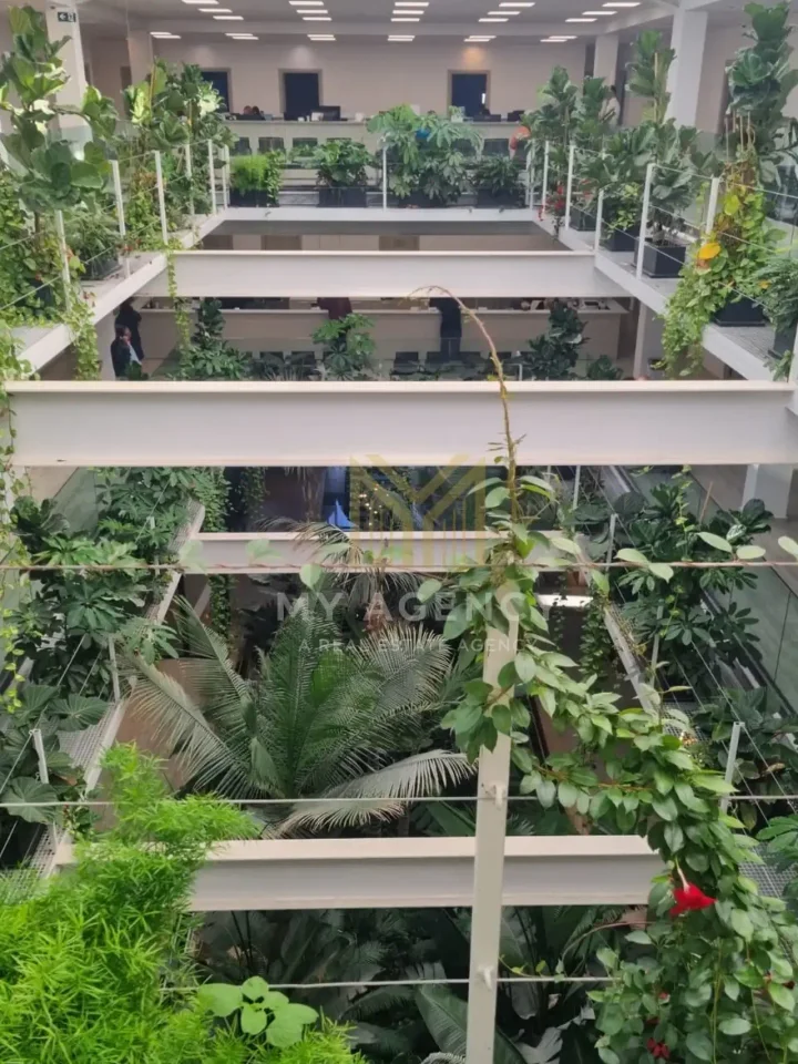 Office 35 m² for rent in Nicosia, Strovolos - Acropolis