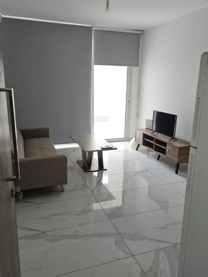 1-bedroom apartments for rent 55 m² in Nicosia, Aglantzia