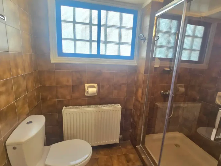 5-bedroom detached house for rent 430 m² in Nicosia, Strovolos - Chryseleousa