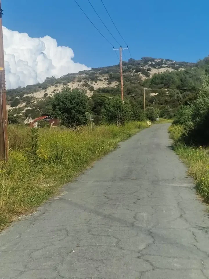 Plot of land for rent 5000 m² in Limassol, Pissouri