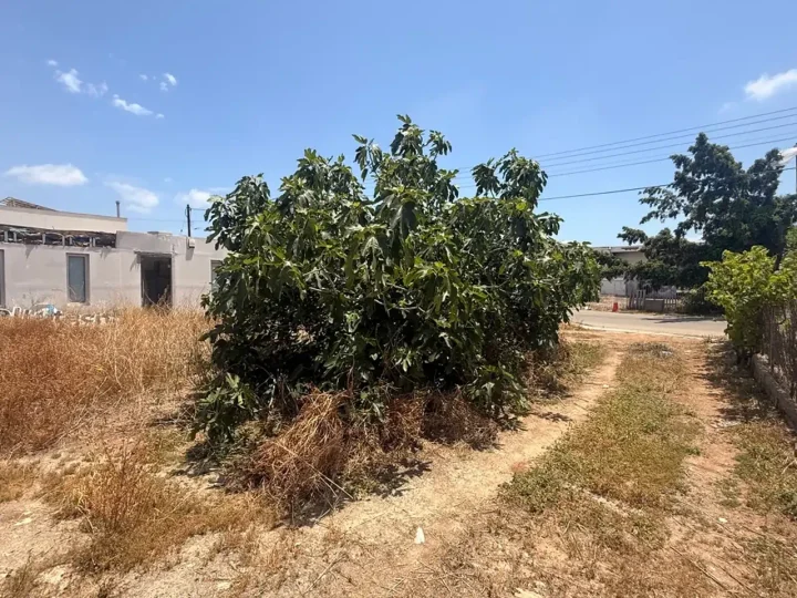 Plot of land for rent 755 m² in Limassol, Polemidia - Apostolos Varnavas