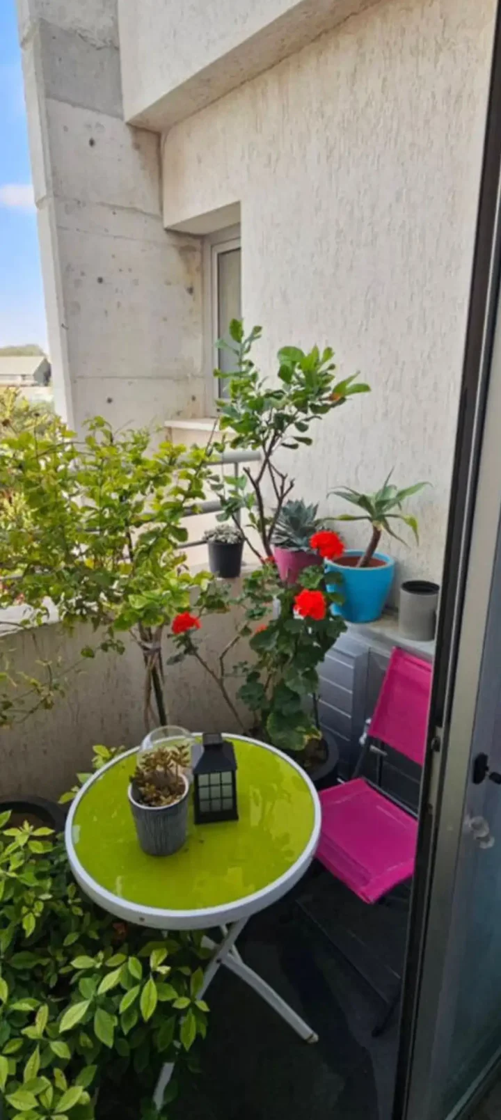 Penthouse for rent 228 m² in Nicosia, Egkomi