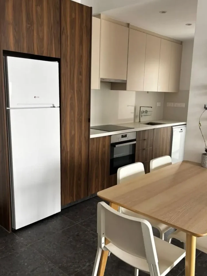 1-bedroom apartments for rent 55 m² in Nicosia, Egkomi