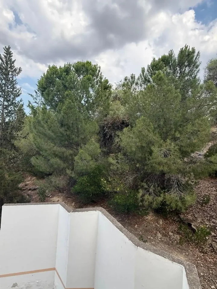2-bedroom apartments for rent 86 m² in Nicosia, Aglantzia