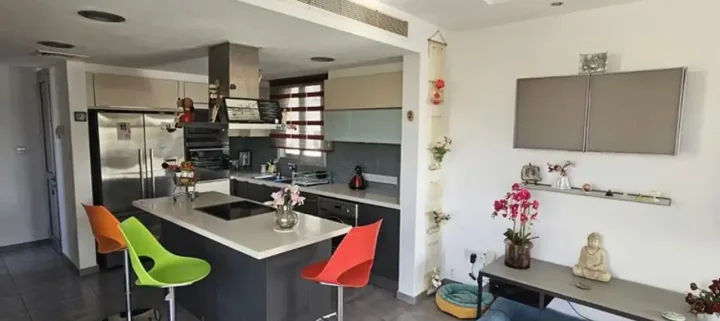 Penthouse for rent 228 m² in Nicosia, Egkomi
