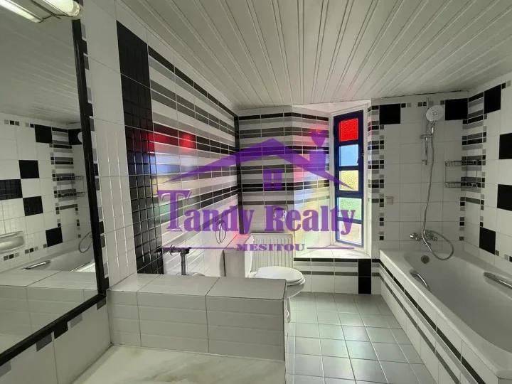 4-bedroom apartments for rent 207 m² in Nicosia, Nicosia - Lykabittos