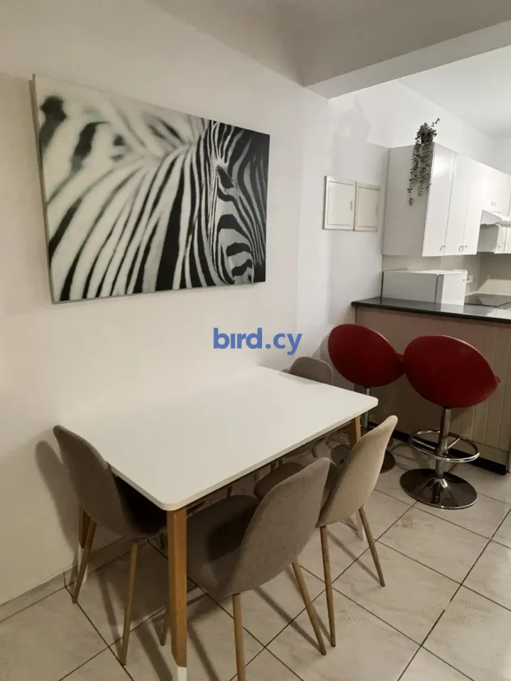 1-bedroom apartments for rent 43 m² in Nicosia, Egkomi - Makedonitissa