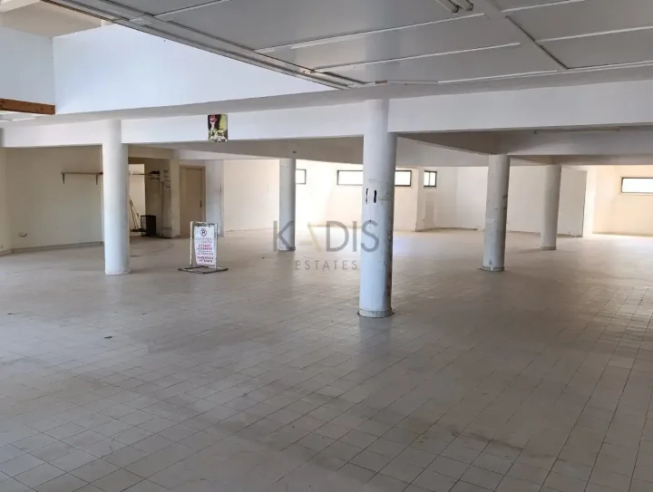 Commercial properties 394 m² for rent in Nicosia, Pera Chorio