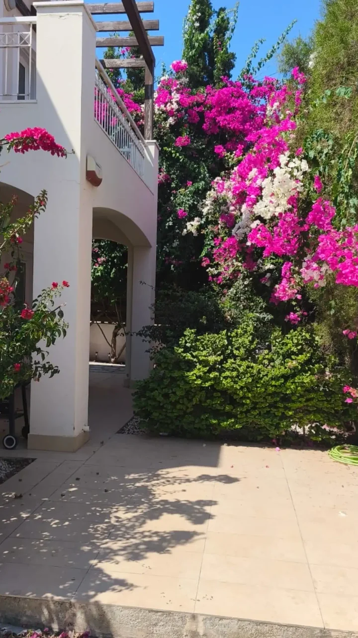 2-bedroom villa for rent 120 m² in Limassol, Agios Tychon
