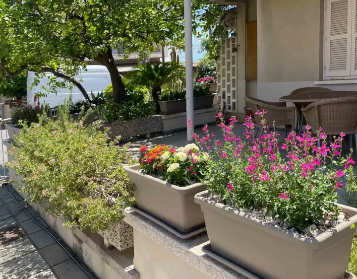 3-bedroom detached house for rent 220 m² in Larnaca, Larnaka - Skala