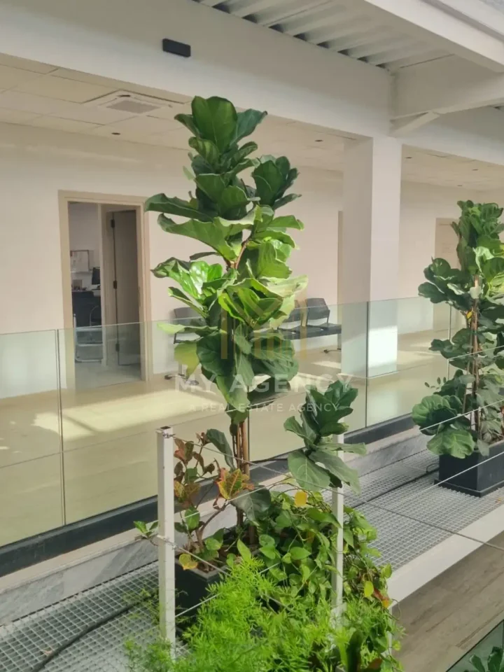 Office 35 m² for rent in Nicosia, Strovolos - Acropolis