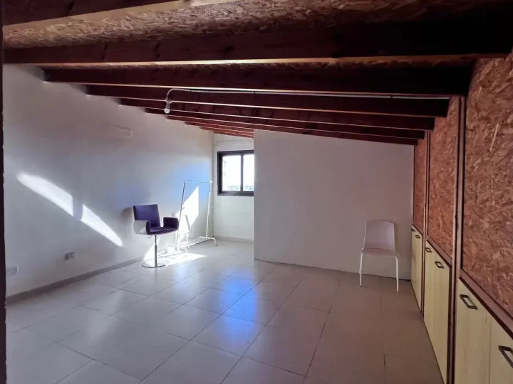 4-bedroom detached house for rent 280 m² in Nicosia, Strovolos - Chryseleousa