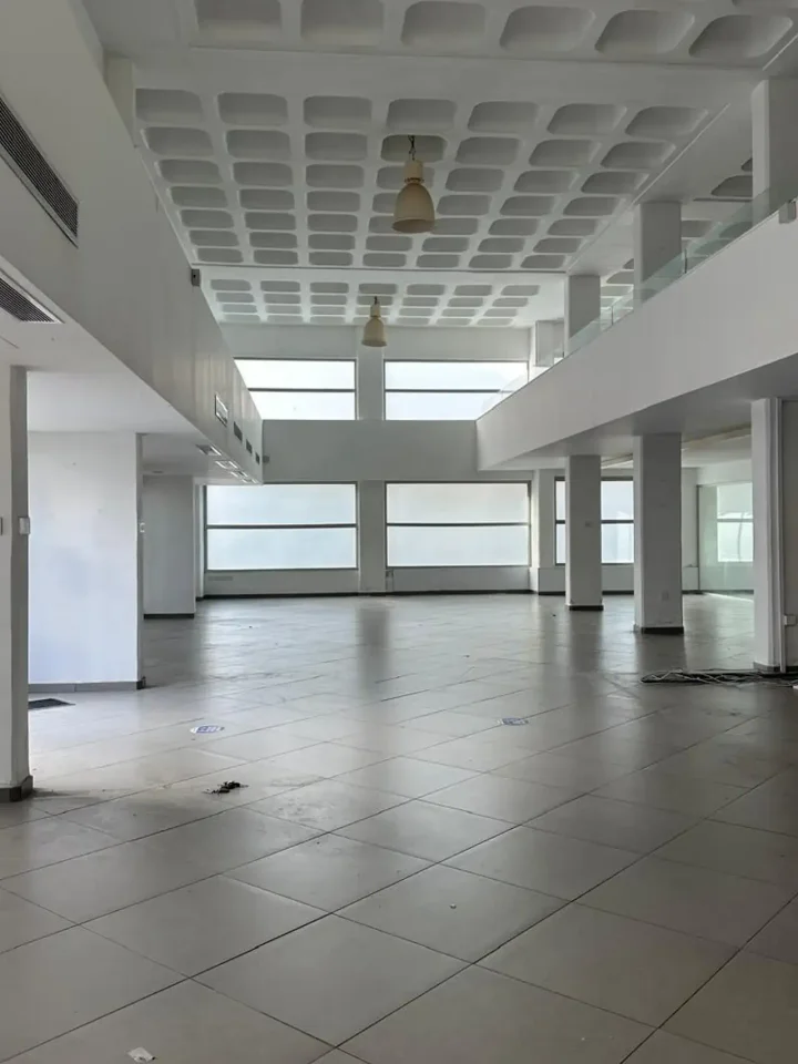 Residential properties for rent 340 m² in Limassol, Limassol - Omonia
