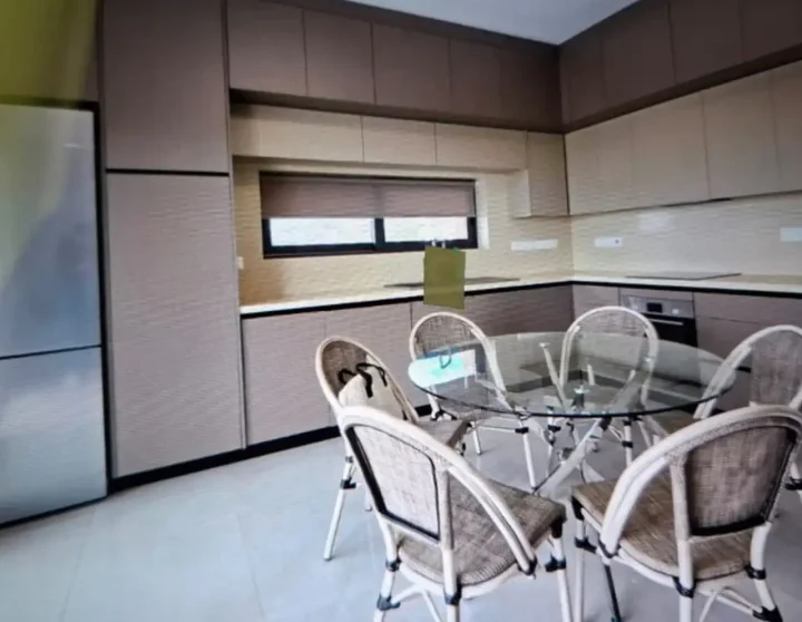 Apartments for rent 150 m² in Limassol, Limassol - Agia Fyla