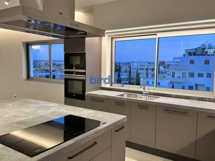 4-bedroom penthouse for rent 208 m² in Nicosia, Strovolos - Acropolis