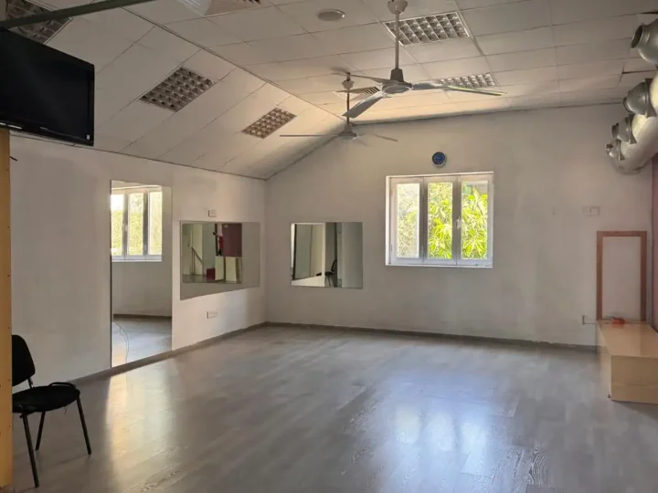 Commercial properties 216 m² for rent in Nicosia, Nicosia - Panagia