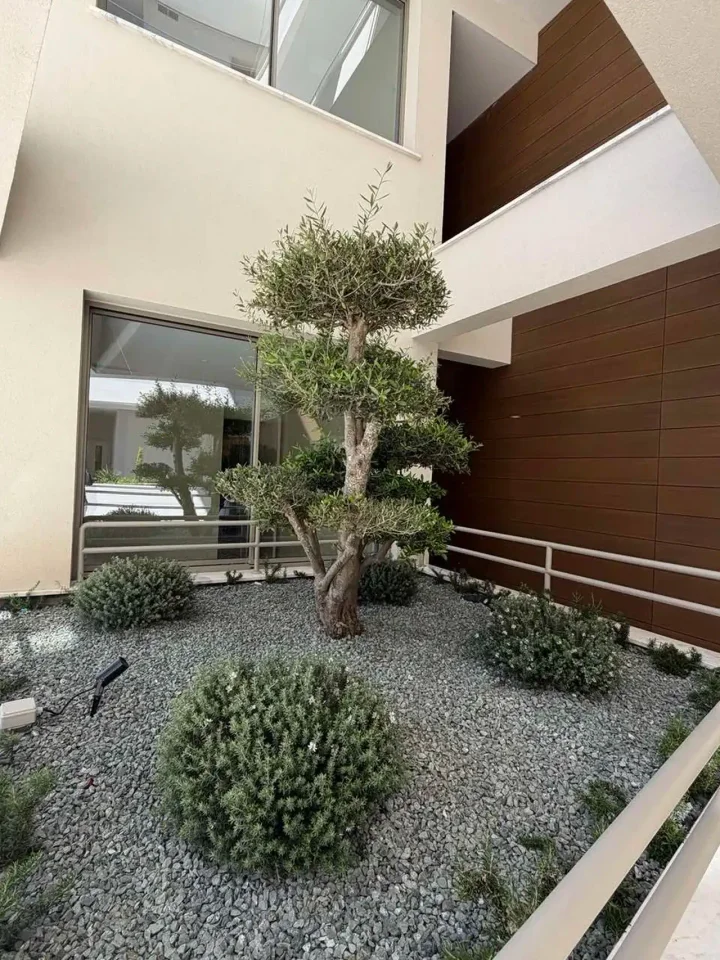 Penthouse for rent 194 m² in Limassol, Germasogeia