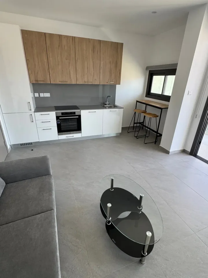 Studio for rent 55 m² in Larnaca, Larnaka - Finikoudes