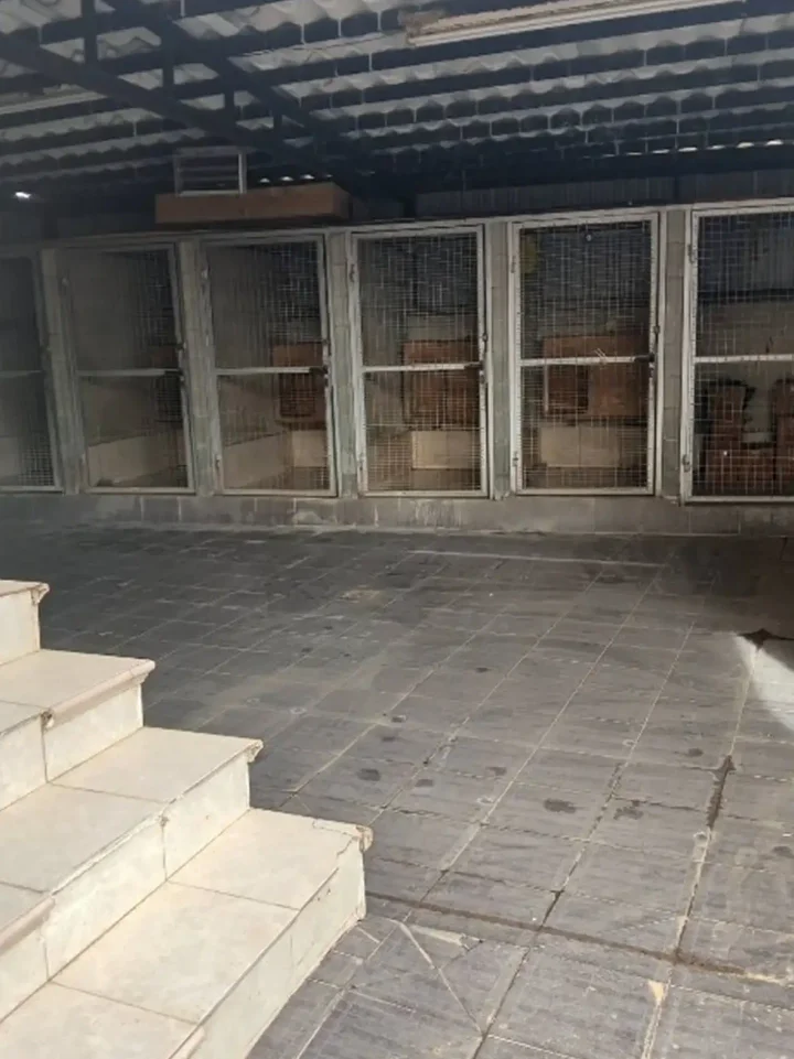Detached house for rent 365 m² in Paphos, Polemi