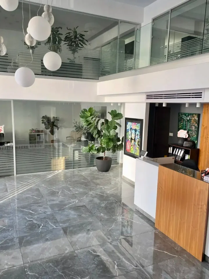 Commercial properties 1016 m² for rent in Limassol, Chalkoutsa