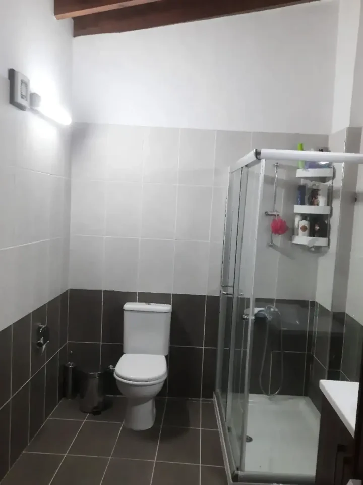 3-bedroom detached house for rent 144 m² in Limassol, Vasa Koilaniou