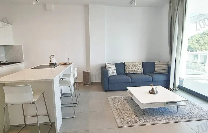 1-bedroom apartments for rent 53 m² in Nicosia, Egkomi