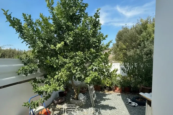 3-bedroom detached house for rent 180 m² in Paphos, Tremithousa