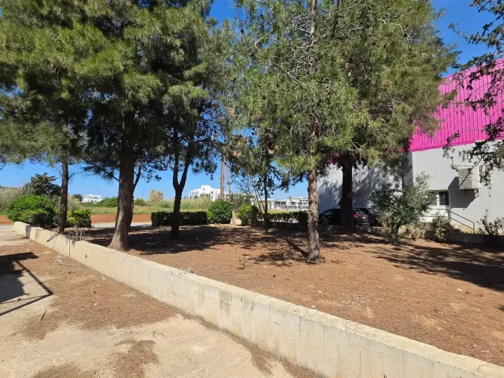 Residential properties for rent 380 m² in Limassol, Limassol - Zakaki