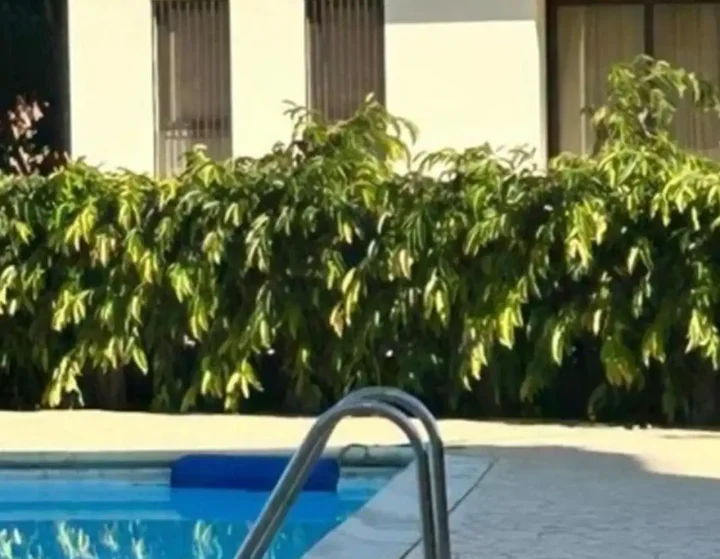 Διαμερίσματα προς ενοικίαση 47 μ² στην τοποθεσία Larnaca, Tersefanou