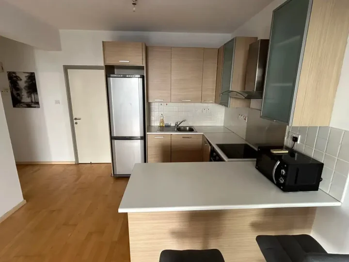 1-bedroom apartments for rent 65 m² in Nicosia, Palouriotissa