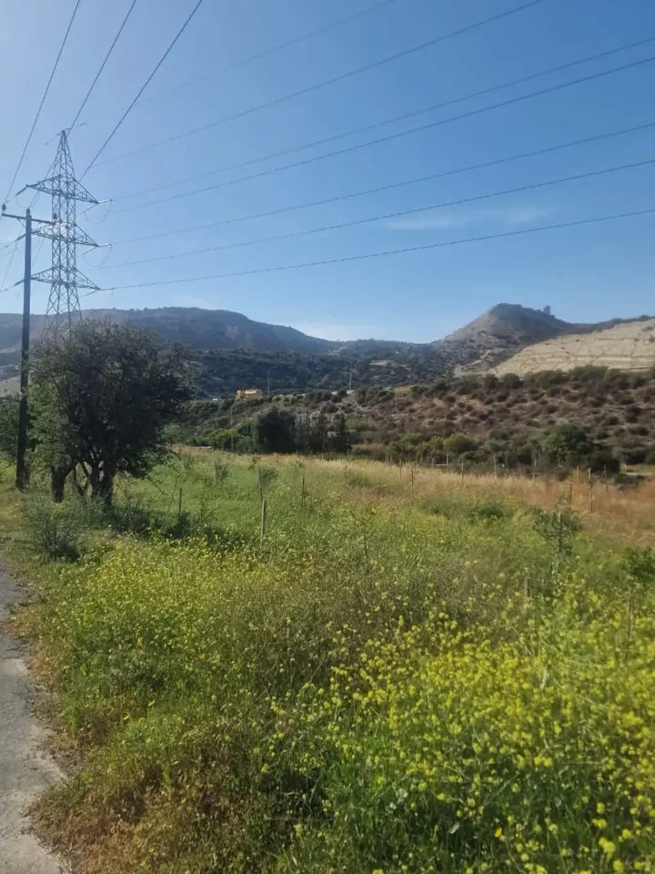 Plot of land for rent 5000 m² in Limassol, Pissouri