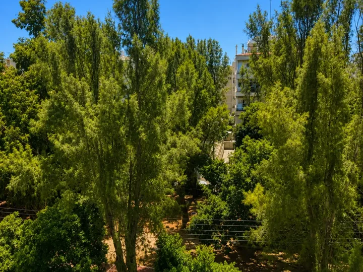 3-bedroom apartments for rent 137 m² in Limassol, Limassol - Neapolis