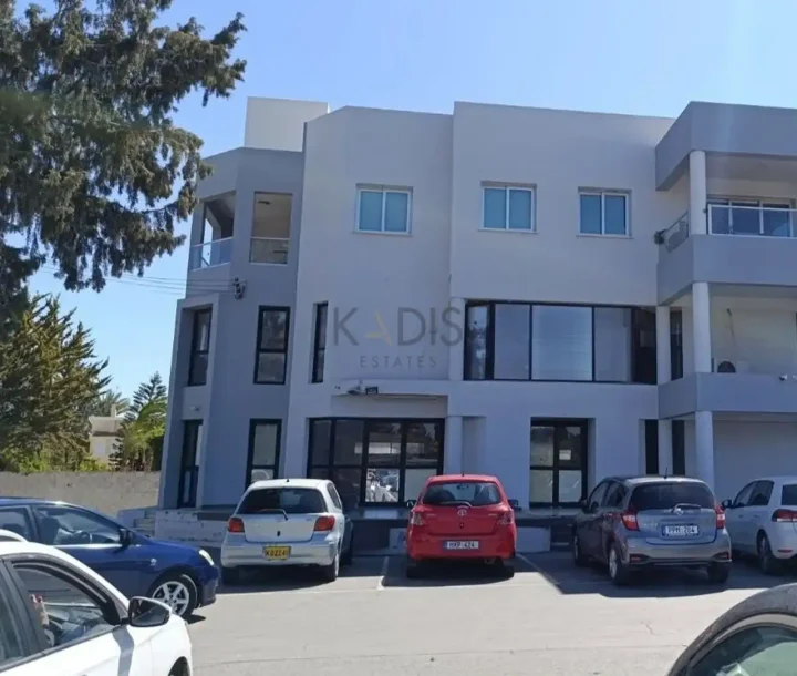 Commercial properties 394 m² for rent in Nicosia, Pera Chorio