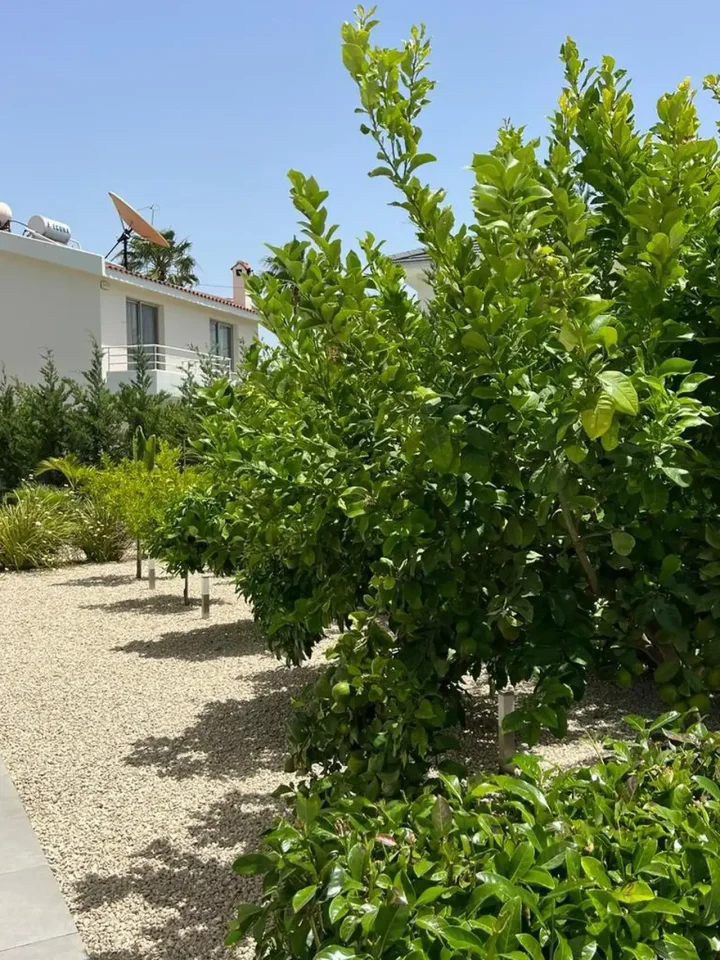 Detached house for rent 176 m² in Limassol, Pyrgos Lemesou Tourist Area