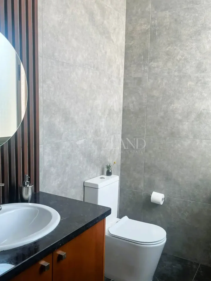 4-bedroom detached house for rent 325 m² in Limassol, Agios Athanasios