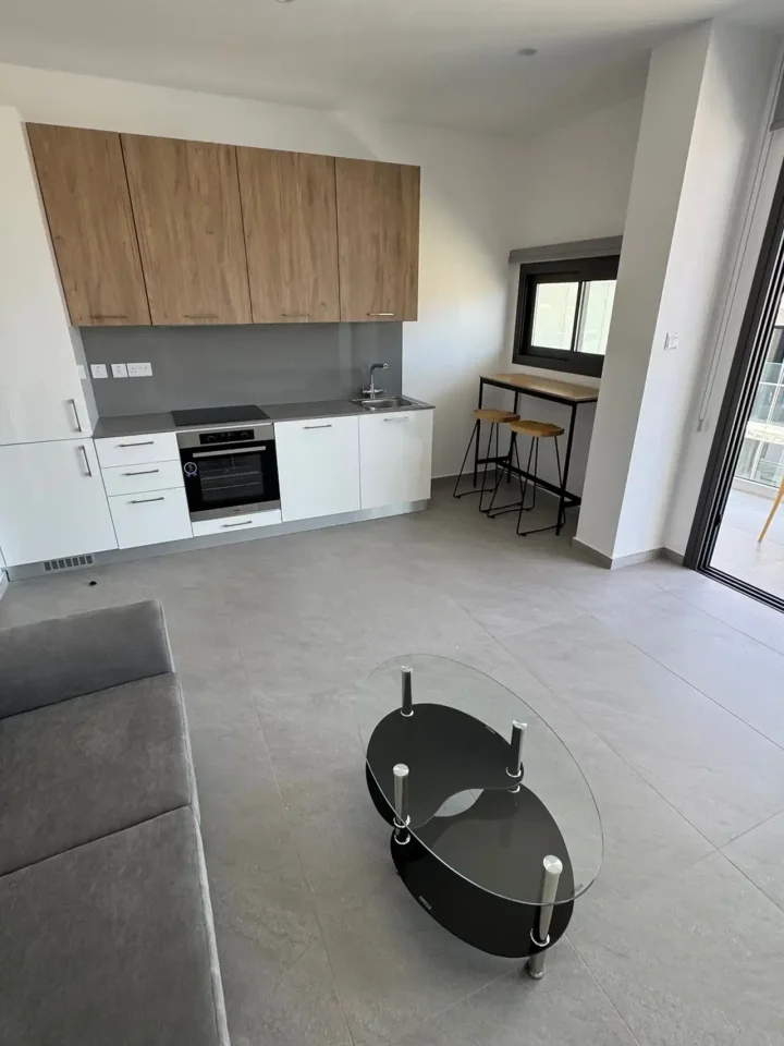 Studio for rent 55 m² in Larnaca, Larnaka - Finikoudes