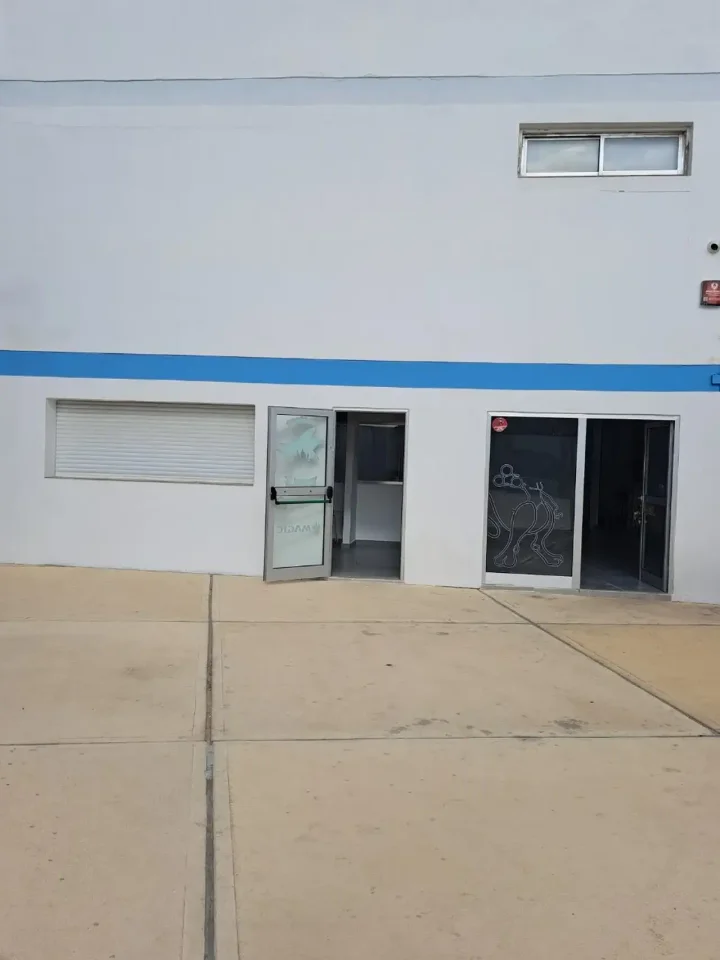 Trading area 250 m² for rent in Paphos, Paphos - Agios Theodoros