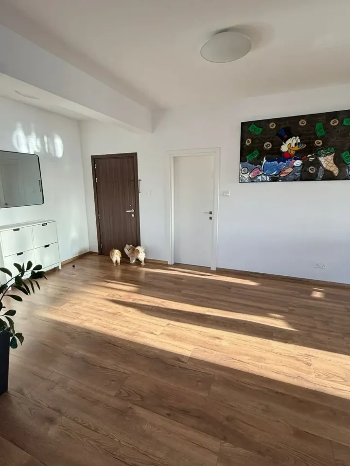 4-bedroom penthouse for rent 170 m² in Limassol, Limassol - Neapolis