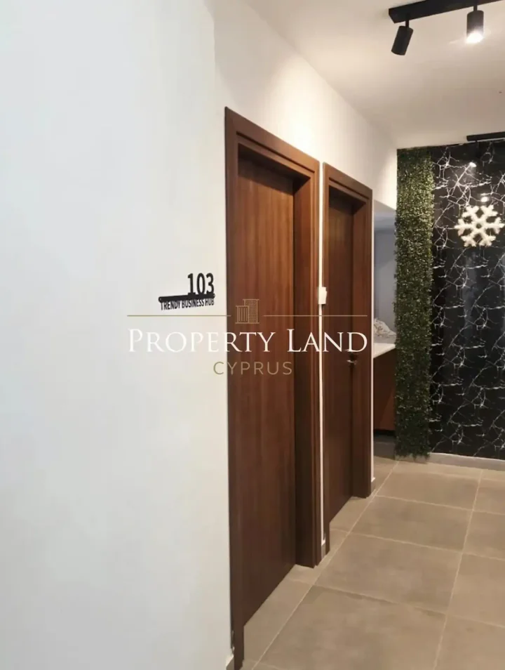 Commercial properties 200 m² for rent in Larnaca, Larnaka - Sotiros