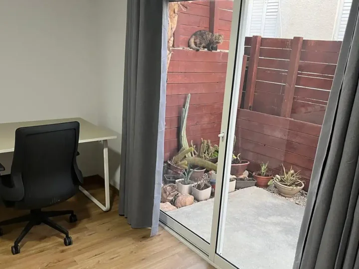 Apartments for rent 55 m² in Limassol, Limassol - Mesa Geitonia