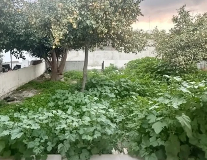 Μεζονέτα προς ενοικίαση 105 μ² στην τοποθεσία Larnaca, Larnaka - Sotiros