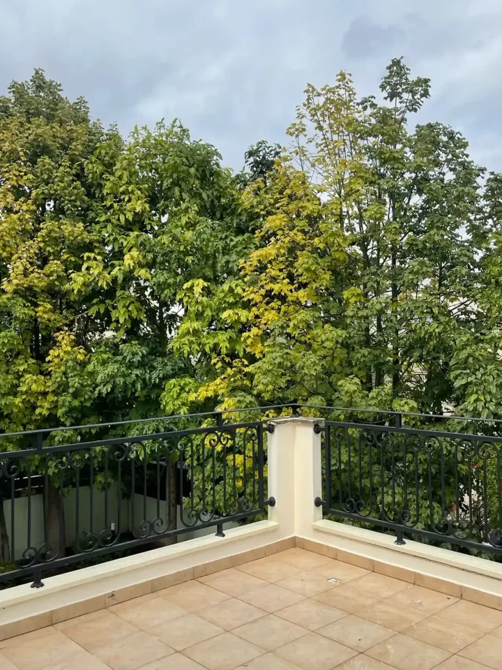 Βίλα προς ενοικίαση 350 μ² στην τοποθεσία Limassol, Limassol - Tsirion