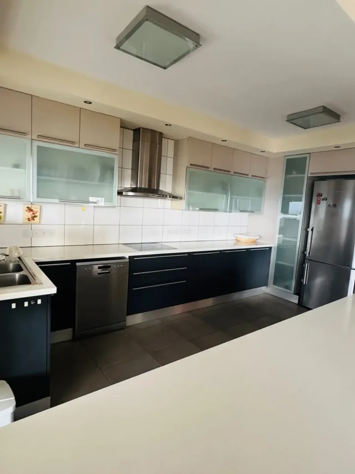 4-bedroom apartments for rent 195 m² in Nicosia, Nicosia - Lykabittos