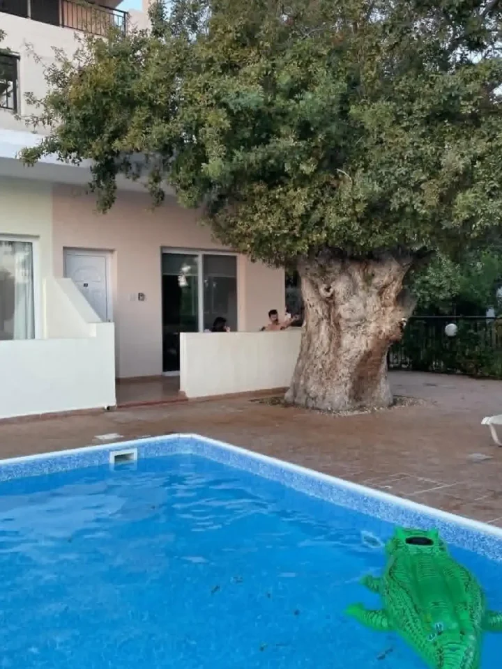 1-bedroom apartments for rent 55 m² in Paphos, Paphos - Agios Theodoros