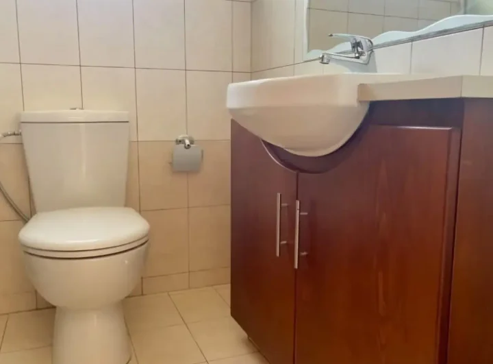1-bedroom apartments for rent 43 m² in Nicosia, Aglantzia