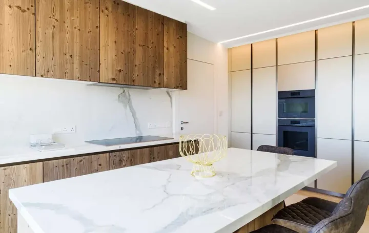 4-bedroom penthouse for rent 480 m² in Limassol, Pyrgos Lemesou Tourist Area