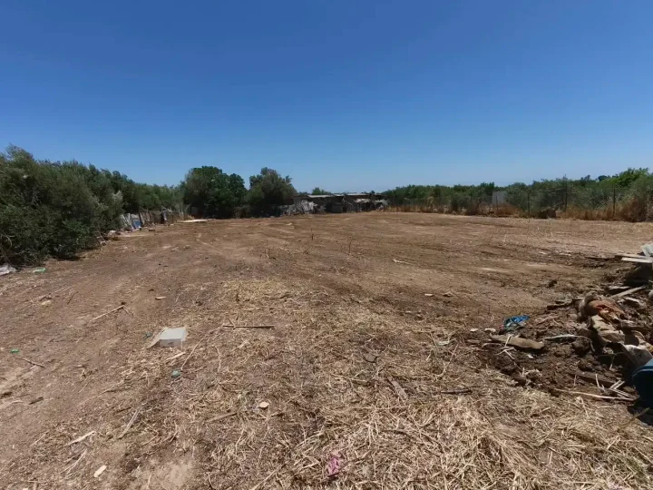 Plot of land for rent 1000 m² in Limassol, Ypsonas